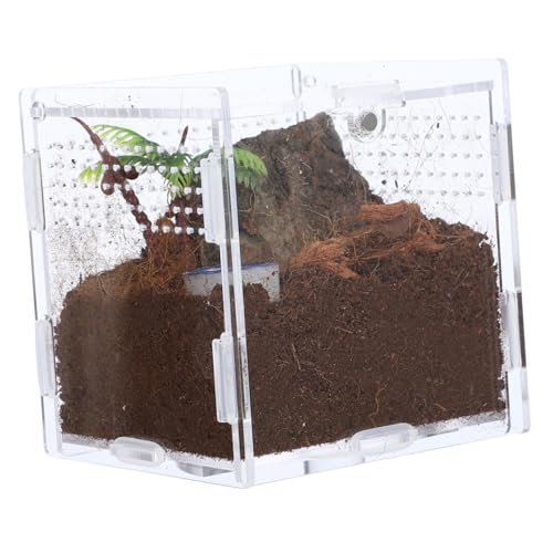 iplusmile 1 Set Springspinnen Zuchtbox Spinnen Terrarium Transparenter Springspinnenkäfig Insektenhabitat Koffer Zuchtbehälter Insektenbehälter Fütterungskoffer Reptilienkoffer von iplusmile