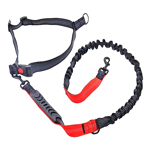 iplusmile Hundeleine Gürtel 1 STK Elastisches Laufseil Zugseil Lauf Für Haustiere Hundegeschirre Hundetraining Bungee- Für Haustiere Trainings Für Hunde Kordelzug Mittlere Und Große Hunde von iplusmile