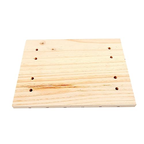 iplusmile Holzspielzeug Kauspielzeug 1 Stück Kaninchen-Schleifbrett Hasenspielzeug Kaninchen-Kratzbrett Spielzeug Für Meerschweinchen e Haustierkäfigmatte Igel-Kratzbrett Hamster-Füße Pad von iplusmile