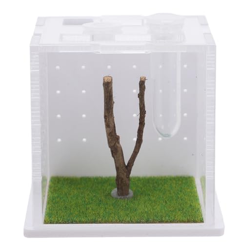 iplusmile Box Springspinnen Zuchtbox Insektenhabitat Koffer Zuchtbehälter Reptilienkoffer Springspinnen Terrarium Insektenhabitat Käfig Insektenbehälter Fütterungskoffer Acryl von iplusmile