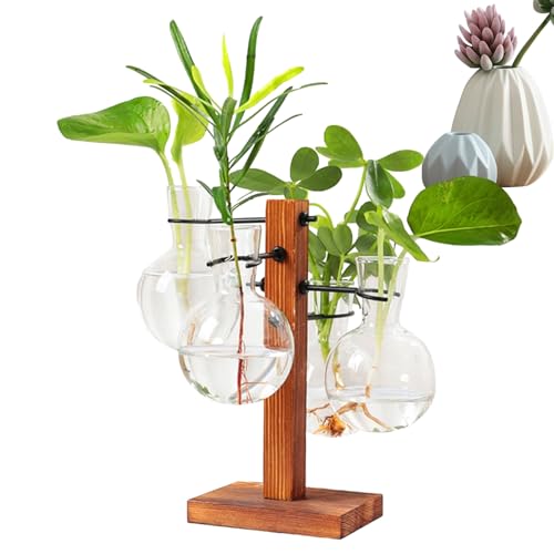 Pflanzenterrarium mit Holzständer, Pflanzenvermehrungsstation,Heimpflanzen-Terrarium-Set - Moderne Glühbirnenbecher-Glasvase, Terrarium-Glühbirnenglasvase mit Holzständer von itrimaka