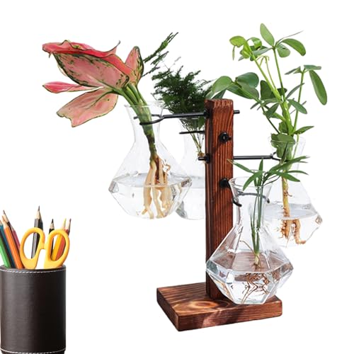 itrimaka Terrarium mit Ständer, Pflanzenterrarium mit Holzständer | Hydrokultur-Glühbirnen-Glasvase | Moderne Glühbirnenbecher-Glasvase, Terrarium-Glühbirnenglasvase mit Holzständer von itrimaka