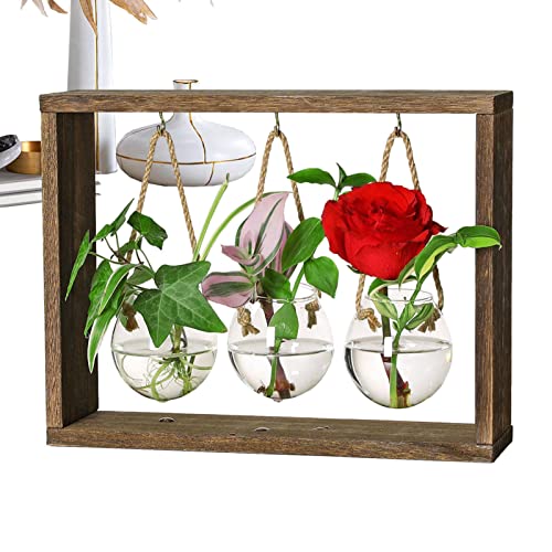 itrimaka Wasserausbreitungsstation, Blumen-Terrarium-Kit mit Holzständer, Reagenzglas Blumenvase Glasblumentopf für hydroponisches Hausgarten- -Geschenk von itrimaka