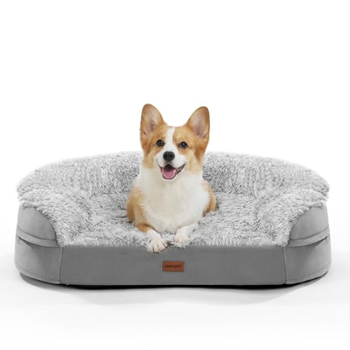 iweepet M Dickes Hundebett aus Schaumstoff, halbrund, ultraweich von iweepet