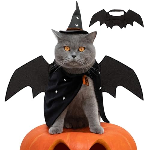 jamgeery Fledermausflügel - Halloween Flügel Kostüm Katzenzubehör,Filz Kostüm Tierkleidung für Katzen Welpen Kleine Hunde zum Verkleiden jamgeery Fledermausflügel - Halloween Flügel Kostüm Katzenzubehör,Filz Kostüm Tierkleidung für Katzen Welpen Kleine Hunde zum Verkleiden von jamgeery