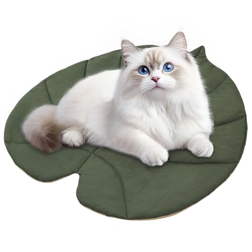 jamgeery Hundematte, Blattform, gemütlich, waschbar, Schonbezug, weich für Sofa, Stuhl, Boden, Auto, Innenbereich, Camping, Reisen jamgeery Hundematte, Blattform, gemütlich, waschbar, Schonbezug, weich für Sofa, Stuhl, Boden, Auto, Innenbereich, Camping, Reisen von jamgeery