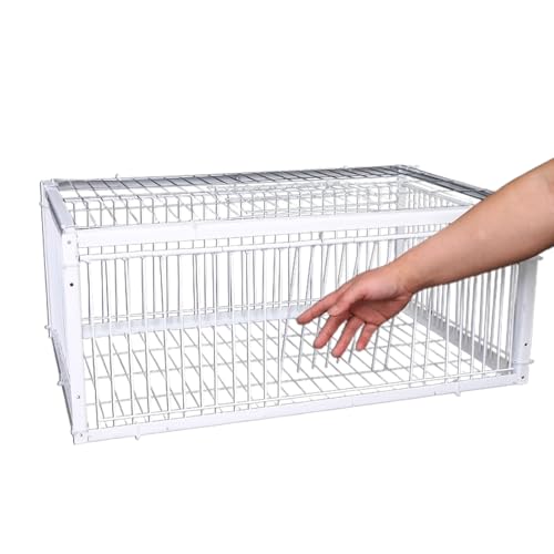 jamgeery Vogelfänger, automatischer Spatzenfänger, ausbruchsicheres Design, Haustierzubehör mit 4 Eingängen, Bauernhof-Geflügel-Management für Papageien, Wellensittiche, Aras, Sittiche jamgeery Vogelfänger, automatischer Spatzenfänger, ausbruchsicheres Design, Haustierzubehör mit 4 Eingängen, Bauernhof-Geflügel-Management für Papageien, Wellensittiche, Aras, Sittiche von jamgeery