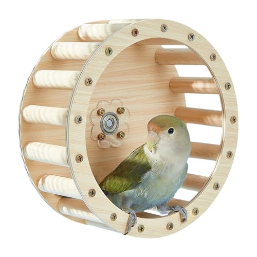 jamgeery Vogelrad Spielzeug – Übungsrad Intelligenz Spielzeug | Holz Interaktive Sittiche Intelligenz Wachstum Käfig Zubehör für Sittiche Nymphensittiche jamgeery Vogelrad Spielzeug – Übungsrad Intelligenz Spielzeug | Holz Interaktive Sittiche Intelligenz Wachstum Käfig Zubehör für Sittiche Nymphensittiche von jamgeery