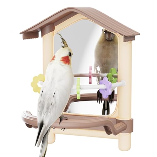 jamgeery Vogelspielzeug Für Nymphensittiche,Wellensittich Sitzstangen Mit Spiegel | Haustierbedarf Für Kauen Hängematte Spielplatz Indoor Fenster Hof Garten Balkone Terrasse Für Hühner Und jamgeery Vogelspielzeug Für Nymphensittiche,Wellensittich Sitzstangen Mit Spiegel | Haustierbedarf Für Kauen Hängematte Spielplatz Indoor Fenster Hof Garten Balkone Terrasse Für Hühner Und von jamgeery