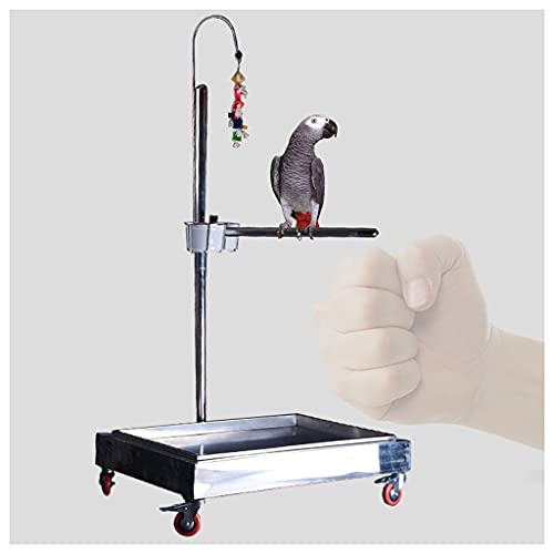 jbshop Vogelkäfig Luxus-Edelstahl-Papagei-Sieben-förmiges Regal anliebbar großer und mittlerer Papageiständer mit Bremsparrot-Vogelregal-Vogelversorgung Vogelkäfig Papageienkäfig (Color : Silver) von jbshop