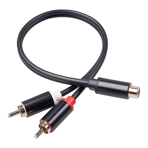 jdstty 1 Buchse auf 2 Stecker Splitterkabel Y-Splitter-Konverterkabel für Auto-Subwoofer-Player von jdstty