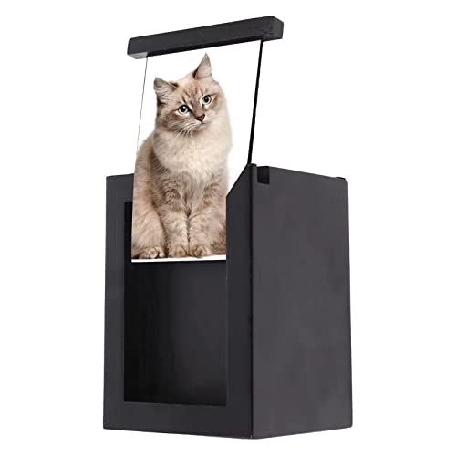 jdstty Haustier Gedenkurnen Mit Fotorahmen Urnenbox Für Hunde Katzen Kleintiere Schwarze Farbe Größe 10 2 X 10 2 X 15 9 cm von jdstty