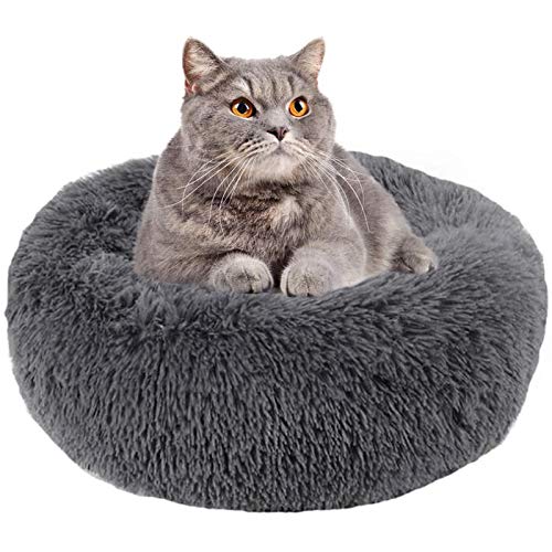 Plüsch-Haustierbett, ultraweich, Donut-Kuschelbett, rund, selbstwärmend, für Hunde und Katzen, Kuschelkissen, verbesserter Schlaf, waschbar, 100 cm, Dunkelgrau, 80 cm von jehdfbvssjcbcsvfd