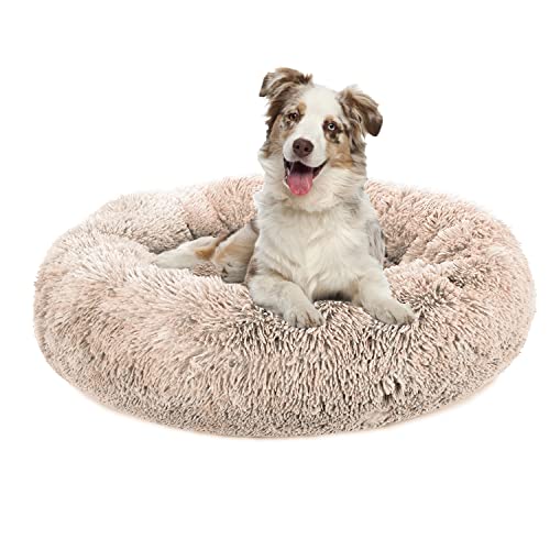 Plush Calming Dog Bed, Donut Dog Bed for Small Medium Large Dogs, Anti Angst Round Dog Bed, Soft Fuzzy Calming Bed for Dogs & Cats, Comfy Cat Bed, Marshmlow Cuddler Nest Calming Pet Bed von jincheng