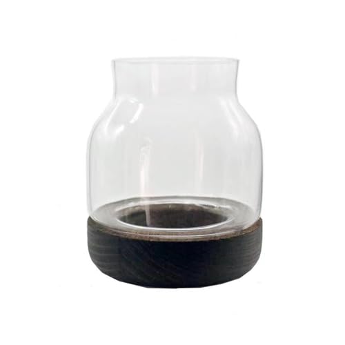 Fisch Tank Kreative runde Glasflasche for kleine Fische im japanischen Stil, ökologische Flasche for den Schreibtisch, Mikrolandschafts-Glasflasche mit Holzsockel Fischschale(Bruin) von jingzhe-1125