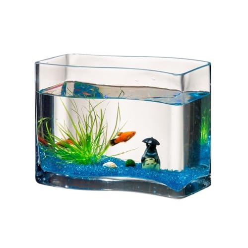 Fisch Tank Kreatives Glasaquarium, S-förmiges transparentes Glas, Goldfischaquarium, Tropische Fische, kleines Desktop-Miniaquarium, Schildkrötenbecken, Wohnzimmeraquarien Fischschale von jingzhe-1125