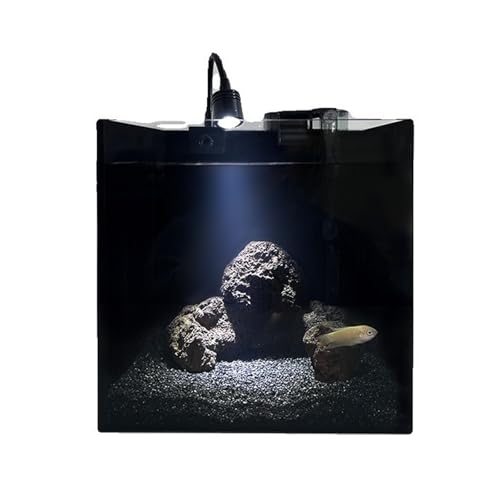Fisch Tank Schwarzes quadratisches Glasaquarium. Kleines einteiliges Glas-Tischaquarium mit Zubehör Fischschale von jingzhe-1125