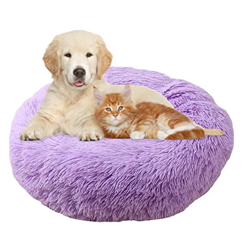 Hundebett Rundes PlüSch Katzenbett Haustierbett PlüSch Hundebett Katzenbett SchöNe Tierbett Super Weich Doughnut-Form Haustierbett FüR Katzen Donut Kissen Hundebetten FüR Kleine Hunde (Purple) von jiuzcare