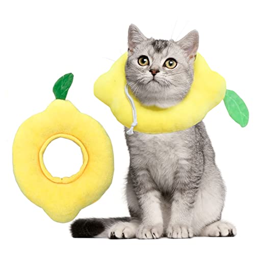 jiuzcare Halskrause Hund Katzen Schützender, Einstellbar Anti-Biss-Halsband für Hunde Katzen Halskrause Katzen Halsband Soft Vorbeugung Von Infektionen, Kratzern, Postoperativer Genesung, Lemon & 28cm von jiuzcare