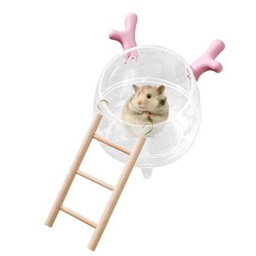 jlceh Sandbadewanne für Hamster | Geräumige Hamster Sandbadschale mit Leiter | 360-Grad-Beobachtungsbehälter Dusche und Graben Raum für Lemmings, Hamster von jlceh