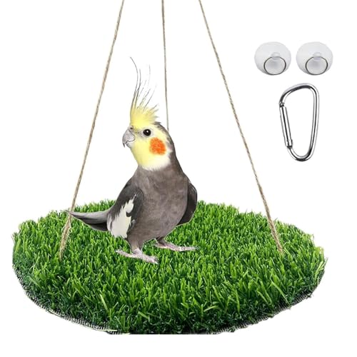 Grasmattenschaukeln Für Vögel, Vogelgrasschaukel - Vogelgras-Hängematten-Schaukelspielzeug, Papagei Kletterndes Futtersuchspielzeug Mit Haken Für Kakadus, Sittiche, Turteltauben Und Wellensittiche von jopiuieo