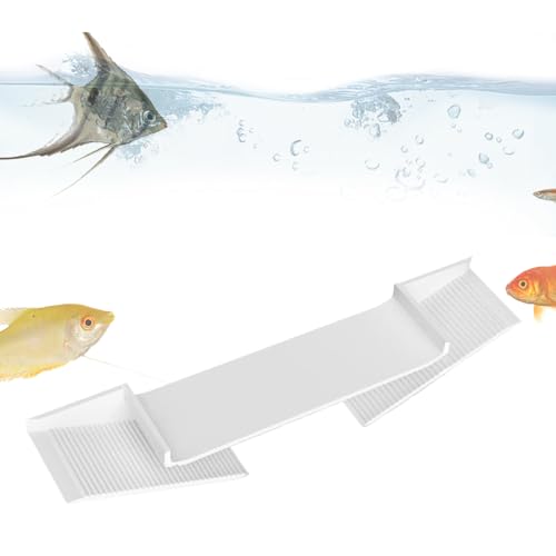 jopiuieo Garnelenhäute für Aquarium, unterirdische Tunnel-Höhle, dreieckige Kuppel mit gebogenem Loch, große Eckterrasse für Reptilien, Krebse, Buntbarsche, Wasserhaustier-Lebensraum jopiuieo Garnelenhäute für Aquarium, unterirdische Tunnel-Höhle, dreieckige Kuppel mit gebogenem Loch, große Eckterrasse für Reptilien, Krebse, Buntbarsche, Wasserhaustier-Lebensraum von jopiuieo