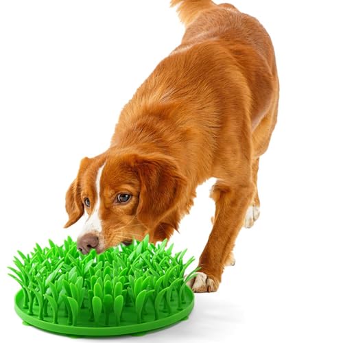 joukares Silikongrasmatte Hunde Slow Feedermatte Anti-Rutsch Interaktives Haustier Futter Spielzeug Katze Futtermatte Leckpolster für Katzen & Hunde Grün joukares Silikongrasmatte Hunde Slow Feedermatte Anti-Rutsch Interaktives Haustier Futter Spielzeug Katze Futtermatte Leckpolster für Katzen & Hunde Grün von joukares