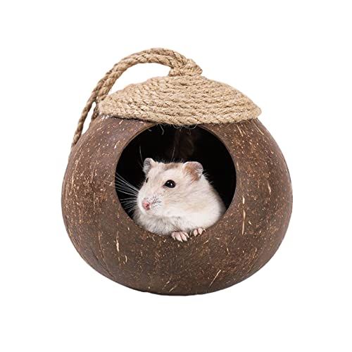 joyxiwa Vogelnest aus Kokosnussschale, Hamster-Verstecknest mit Leiter, Vogelspielzeug, Zubehör, Hamsterutensilien, Kletterleiter, Spielzeug von joyxiwa