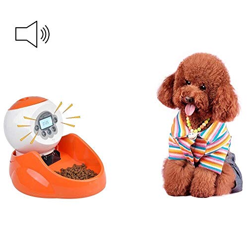 Feeders Orange Pet Automatischer Futterspender für Hunde und Katzen, LCD-Display, kann 12 Sekunden aufzeichnen, Dual-Netzteil, 4 Mahlzeiten, quantitativer Futterspender von jsfdsfhsdjdjgrieurfews