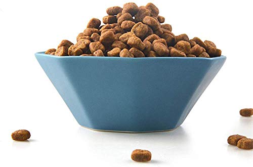 Keramik Hundenäpfe für Futter und Wasser, Pet Feeder Bowl Geometrisch Achteckig, Geeignet für kleine/mittelgroße Hunde und Katzen, B(A) von jsfdsfhsdjdjgrieurfews