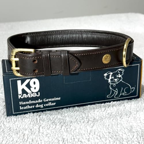 Kamboj9 k9 strapazierfähiges, handgefertigtes Hundehalsband aus echtem Leder, 100 % Messingbeschläge, für kleine, mittlere, große und XL-Hunde. Inklusive Apfel-AirTag-Hundehalsbandtasche aus Leder von kamboj9