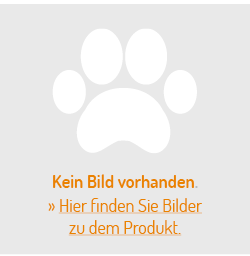 KaMel GmbH Hundespielzeug quietschend | Aktiv-Spielzeug für den Hund aus Polyester mit TPR-Ring & Quietscher (4er Set) von KaMel GmbH
