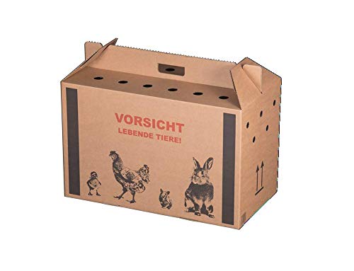 karton-billiger Transportkarton für Tiere Tiertransportkarton für Kleintiere - 10Stück - 3 Größen (L - 580 x 309 x 369 mm) von karton-billiger