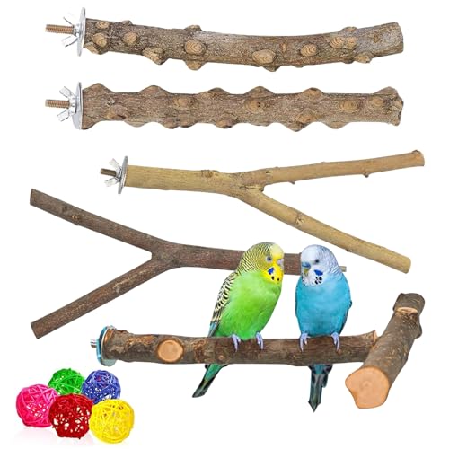 kathson 5 Stück natürliche Papageien-Sitzstange für Käfig, aus Holz, Vogelstangen, Trauben, Vogelstock, Sittiche, Klettern, stehende Äste, Spielzeug, kaubar, Käfigzubehör für kleine Wellensittiche, von kathson