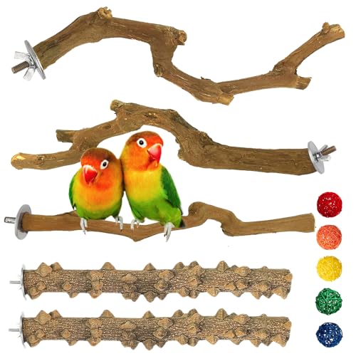 kathson 5 Stück natürliche Papageien-Sitzstange für Käfig, aus Holz, Vogelstangen, Trauben, Vogelstock, Sittiche, Klettern, stehende Äste, Spielzeug, kaubar, Käfigzubehör für kleine Wellensittiche, von kathson