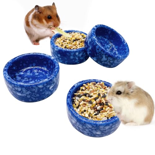 kathson 4 Stück Hamster Futternapf Meerschweinchen Keramik Wassernapf Kleintiere Futternapf für Zwerghamster Rennmäuse Syrisches Frettchen Igel Chinchilla Bunny (Marineblau) von kathson