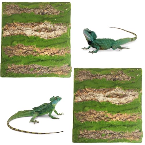 kathson Korkrinde für Reptilien, 29,5 cm L x 29,5 cm B, Kork-Terrarium-Hintergrund, Bartdrachen, Panzer-Hintergrund mit künstlichem Moos, natürliche Reptilien-Klettermatte für Spinne, Gecko, Eidechse, von kathson