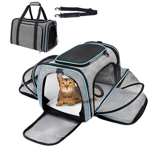 kathson Tragetasche für Katzen und Hunde, faltbar, weiche Seiten, für Fluggesellschaften zugelassen, Haustier-Handtasche mit abnehmbarem Kissen für Katzen/Welpen und kleine Tiere (Grau mit blauem von kathson