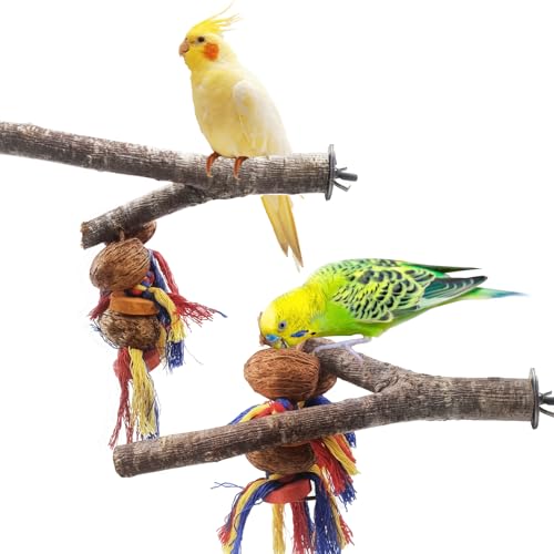 kathson Vogelsitzstange aus Holz für Käfig, Naturholz, Vogelsitzstange mit natürlichen Kaunüssen, Spielzeug, Vögel, Käfig, Ast, Sitzstange, Zubehör für Sittiche, Wellensittiche, Finken, von kathson