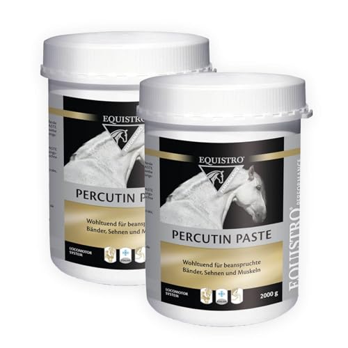 kavalio Percutin Paste 2er Set - Equistro Kühlpaste im Doppelpack, 2X 2000g von kavalio