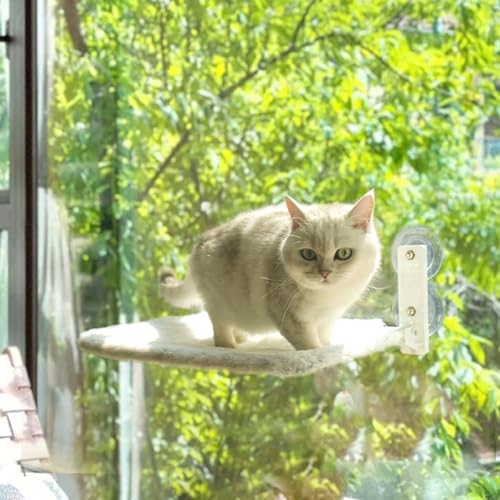 keny Katzenfensterstange, Katzenhängematte für Fenster, schnurlos, Weiß von keny