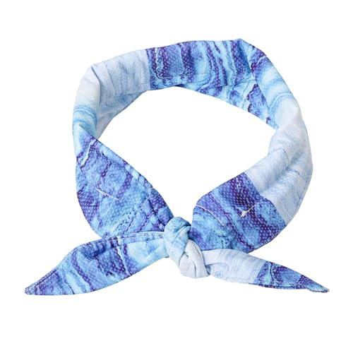 kesurpae Kühlendes Hundehalsband | Welpe cool und stylisch mit kühlendem Hundeschal, kühlendem Handtuch, Hundehalstuch, Sommerleckereien für Hunde, Blau, S kesurpae Kühlendes Hundehalsband | Welpe cool und stylisch mit kühlendem Hundeschal, kühlendem Handtuch, Hundehalstuch, Sommerleckereien für Hunde, Blau, S von kesurpae