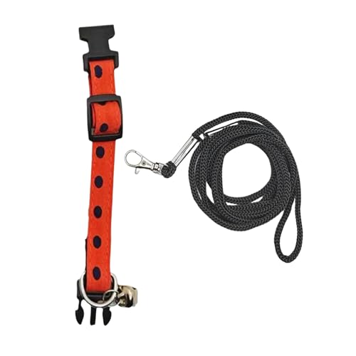 kiskick Kletterleine für Haustiere, Glocke, verziert, verstellbar, für Reptilien, Traktionsseil, Halsband-Set für Outdoor-Abenteuer, Orange, Größe L von kiskick