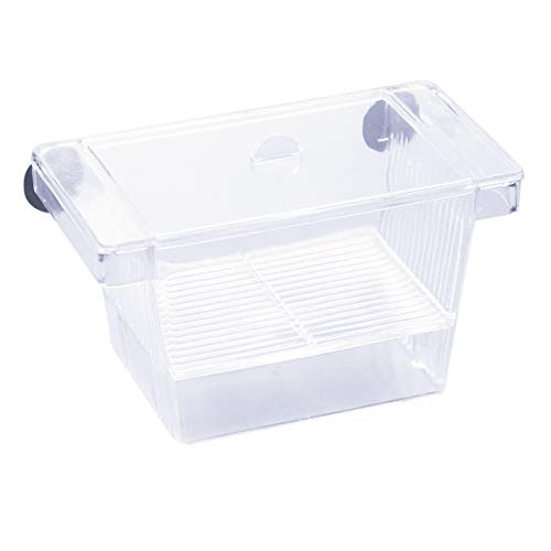 Aufzuchtbehälter Aquarium Garnelen Fisch Ablaichkasten Aquarium Klein Aquarium Becken Set mit 2 Saugnapf Transparent Kunststoff Fisch Züchter Box Zucht Isolation Aquarium Zubehoer Set-Kleine Größe von kissral