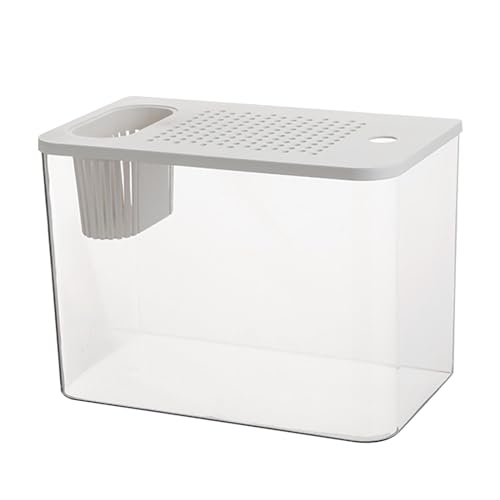 Aquarium-Starter-Kits,Aquarium-Aquarium - Desktop-Display, transparentes Schildkröten-Aquarium,Kleine Aquarien, dekorativer kompakter Tank für die Schildkrötenzucht, kleine Fische von kivrimlarv