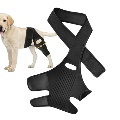 kivrimlarv Hip Brace for Dogs | Dog Hip Support | Adjustable Dog Brace | Canine Hip Dysplasia Brace | Joint Support for Dogs | Dog Mobility Aid | Comfortable Hip Brace for Pets von kivrimlarv