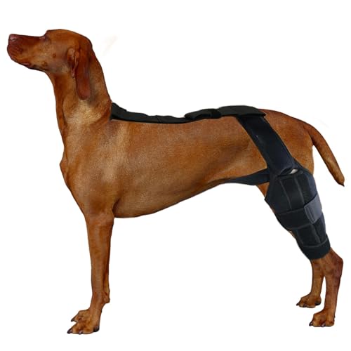 kivrimlarv Hunde-Kniebandage, Hunde-Kniestütze, Hinterbein-Stabilisator Hunde, kleine Hunde-Kniebandage, Neopren-Hüftbandage Hunde, verstellbarer Hunde-Kniegurt, Hunde-Kniebandage, Kreuzbandbandage von kivrimlarv