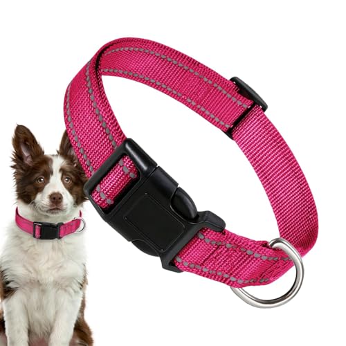 Reflektierendes Halsband für Haustiere – Reflektierendes Hundehalsband aus Nylon, Hundehalsband, Komforthalsband für Hunde, atmungsaktiv, bequem für große Katzen, kleine Hunde von kivrimlarv
