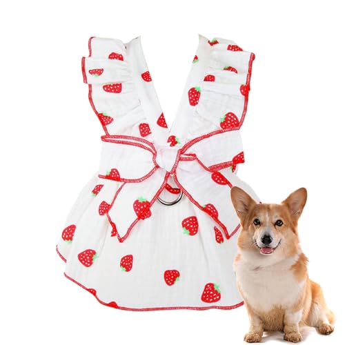Welpenkleider für Mädchen und kleine Hunde | Katzenkleider Hundekleid Rock – Erdbeer-Print Partykleid, niedliche Hundekleider, Hundekleidung, Katzenbekleidung, Welpenkleid für Chihuahua von kivrimlarv