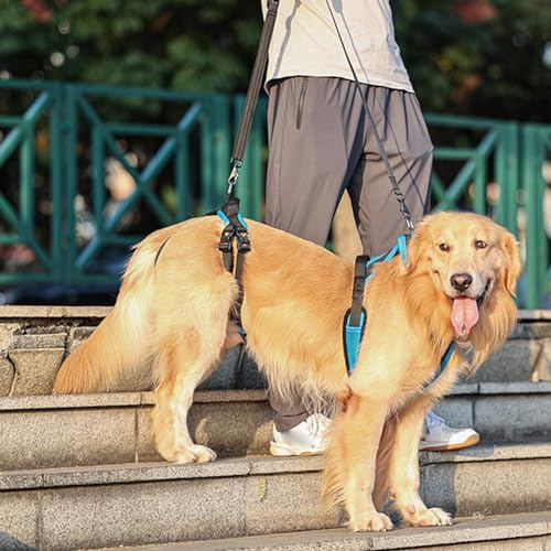 Mobility Dog Lift Harness Pet Rehabilitation Sling, Hundetrage für ältere Hunde mit Gelenkverletzungen, Arthritis, Lähmung Treppe hinauf (L) von kkiuop